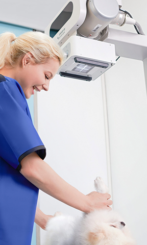 Rayos X y Digitalización